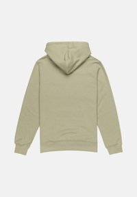 Light olive green hoodie with a kangaroo pocket, adjustable hood, ribbed cuffs, and hem, made of soft, textured fabric.
