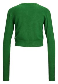 Zielony, krótkotrwały sweter z długimi rękawami, wykonany z miękkiego dzianiny. Ma okrągły dekolt oraz ściągacze na mankietach i u dołu.
