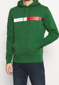 Zielona bluza z kapturem z przednią kieszenią, sznurkami oraz poziomym logo Tommy Hilfiger w kolorach białym, czerwonym i czarnym na wysokości klatki piersiowej.