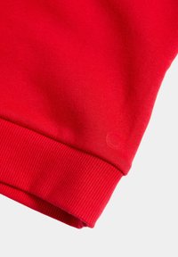 Rotes Baumwollsweatshirt mit geripptem Bündchen, das mit einem dezenten Logo-Stempel versehen ist. Die glatte Oberfläche und die lebendige Farbe erhöhen die Sichtbarkeit.
