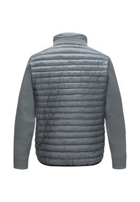 Graue Jacke mit einem gepolsterten, gesteppte Rücken aus glänzendem Material und solidem, strukturierten Ärmeln mit gerippten Bündchen und Kragen.