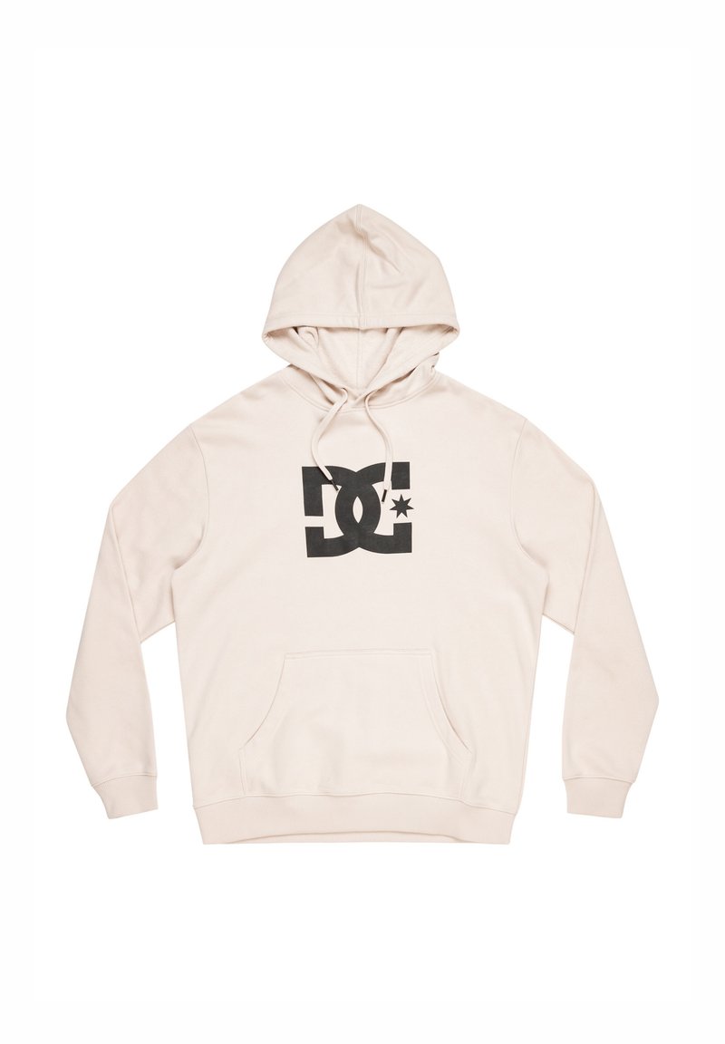 DC Shoes Hoodie taupe DC Shoes Hoodie taupe