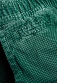 Superdry & Co Šortky - green