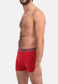 Bamboo Basics 3 PACK ciemnoczerwony