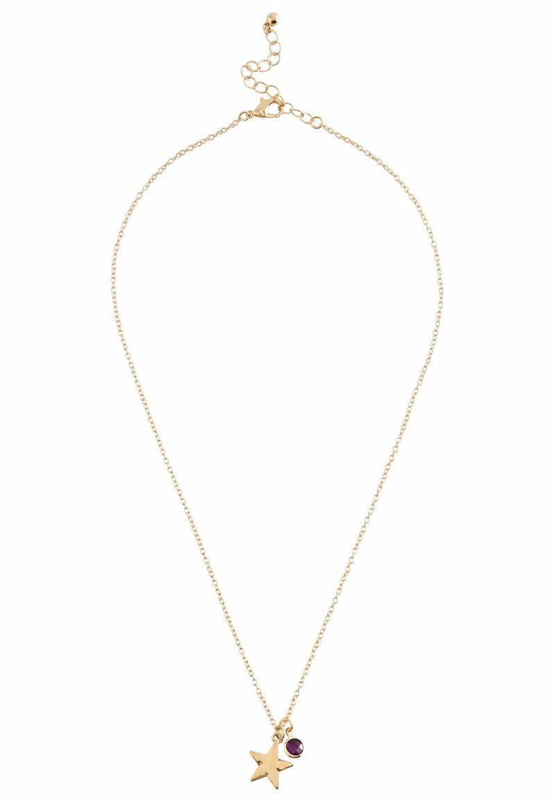 Next BIRTHSTONE - REGULAR FIT - Ketting - gold tone february