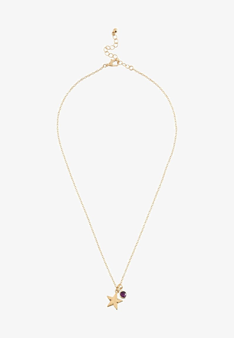Next BIRTHSTONE - REGULAR FIT - Ketting - gold tone february