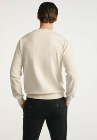 Jasno beżowy sweter wykonany z miękkiego materiału, z okrągłym dekoltem i prążkowanymi mankietami. Noszony z ciemnymi spodniami. Prosty wzór, bez żadnych ornamentów.