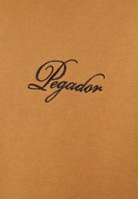 Pegador WRITTEN HISTORY OVERSIZED HOODIE UNISEX - Sweatshirt com capuz - washed ginger