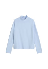 Maglione a collo alto azzurro chiaro, maniche lunghe, texture morbida, scollatura a coste, design corto, stile minimalista senza motivi o decorazioni.