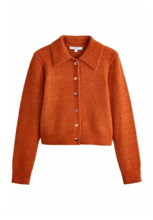 Rust orange fuzzy cardigan with long sleeves and a collar, featuring decorative autumn-themed buttons including pumpkins and acorns.