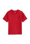 BLUE RIDGE - Triko s potiskem - fire red