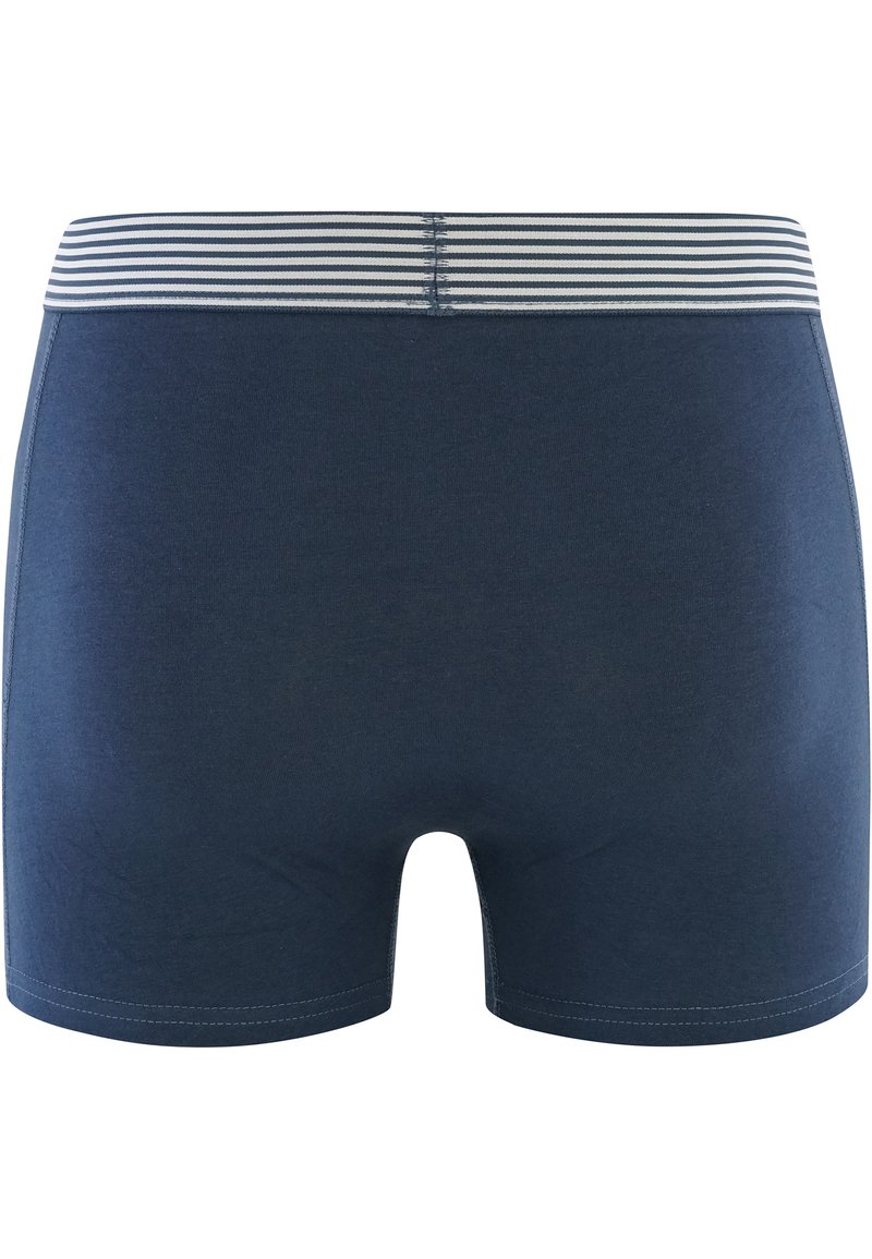 Herren Unterhosen | Cristiano Ronaldo CR7 5ER PACK Panties multicolour/mehrfarbig - TV29940 Herren Unterhosen | Cristiano Ronaldo CR7 5ER PACK Panties multicolour/mehrfarbig - TV29940