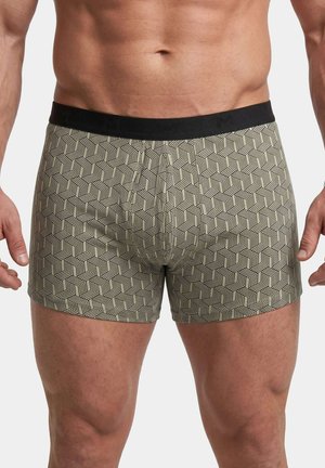 Men Plus, HIP-PANTS FLEXLASTIC®, BAUCHFIT, 2ER-PACK, UNTERHOSE, BIS 8 XL - Boxershort - cloudy green