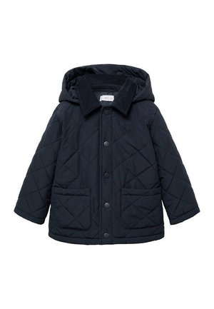 QUILTED  - Zimná bunda - royal blue