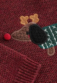 Röd stickad tröja med tyg som har en broderad ren med bruna och svarta detaljer, en grön halsduk och en röd pälsnäs.