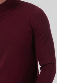 FRILIVIN FINE À COL CHEMINÉE   - Pullover - bordeaux