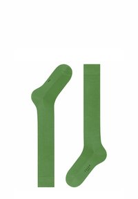 Calzini in cotone verde con una texture liscia, punte rigate e rinforzo sulla punta. Nome del brand "Falke" stampato sulla parte inferiore.