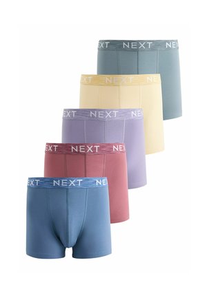 5 PACK - Boxer Briefs - purple blue red