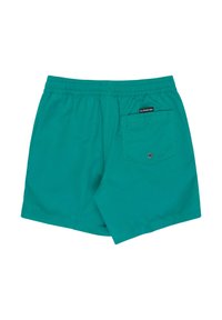 Gröna badshorts med resårmidja, bakficka och en liten logotags. Tyget verkar slätt och lätt.