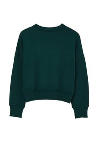 Pull en maille verte avec un col rond, des épaules tombantes, et un ourlet et des poignets côtelés. Texture lisse, coupe décontractée et couleur unie.