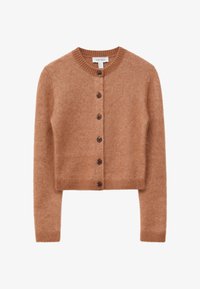 Non sélectionné, camel