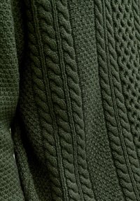 Pull en tricot vert avec un motif texturé, présentant des designs de torsades prononcés et des sections côtelées pour un intérêt visuel supplémentaire.