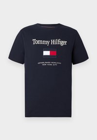 EMBRO FLAG TEE - T-shirt print - desert sky