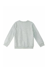 Hellgrauer Sweatshirt mit langen Ärmeln, Rundhalsausschnitt, gerippten Bündchen und Saum. Hergestellt aus weichem, strukturiertem Stoff mit dezentem Nähen.