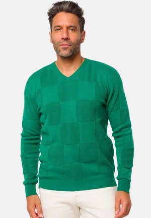 DALMATIE - Strickpullover - vert anglais