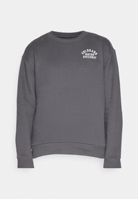 Šedá mikina s kulatým výstřihem, dlouhými rukávy a žebrovanými manžetami. Na hrudi má bílou grafiku s nápisem "Colorado Motor Speedway".