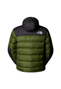 The North Face M LIMBARA INSULATED JACKET - Zimní bunda - woodland green