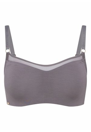 Gray bra with a smooth fabric, sheer upper panel, and adjustable straps. Features subtle brand text embossed on straps and gold accents.