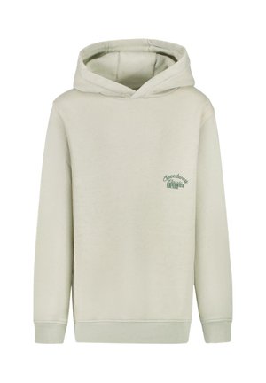 Lichtgroene hoodie gemaakt van zacht materiaal. Heeft een voorste kangaroozak, ribbelboorden en een geborduurd logo in donkerder groen op de borst.