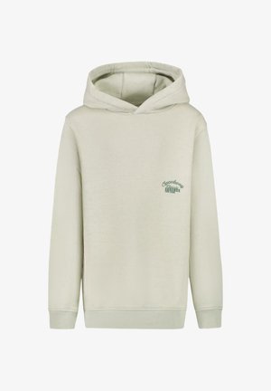 Lichtgroene hoodie gemaakt van zacht materiaal. Heeft een voorste kangaroozak, ribbelboorden en een geborduurd logo in donkerder groen op de borst.