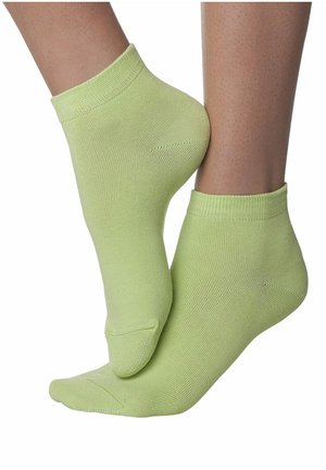 H.I.S, 10 PAAR - SNEAKERSOCKEN - Insole - multicoloured/green