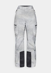 PANTS REGULAR LENGTH DESCENT INSULATED - Smučarske hlače - silver-coloured grey