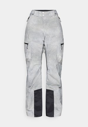 PANTS REGULAR LENGTH DESCENT INSULATED - Slidinėjimo kelnės - silver-coloured grey