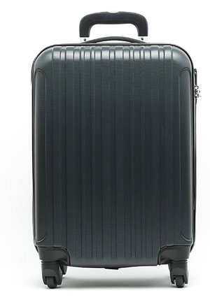 LUISA  - Luggage - green