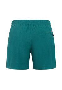 Maillot de bain pour homme de couleur bleu sarcelle avec une taille élastique et une poche arrière zippée sur le côté droit, vu de dos.