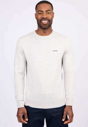 Pull en tricot gris clair avec un col rond, des manches longues et un motif logo bleu sur la poitrine gauche. Texture douce et coupe ajustée.