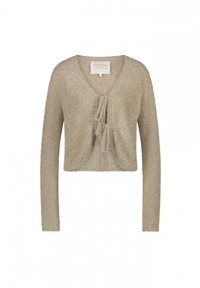 Geknipte beige cardigan van zacht, fuzzy materiaal met een diepe V-hals en een sluiting met voorste strik; lange mouwen.