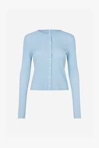 Neselectat, powder blue