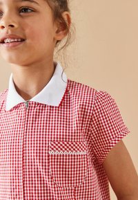 Czerwona i biała sukienka w kratę z krótkimi rękawami, z białym kołnierzykiem, zamkiem błyskawicznym z przodu oraz kieszonką naszywaną z koronkowym wykończeniem.