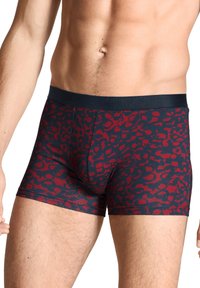 Calida NEW 3ER-PACK - Boxers - rumba red