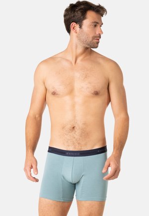 Boxers pour hommes en bleu clair avec une coupe ajustée, en coton doux, et une ceinture contrastante bleu marine arborant le logo de la marque.