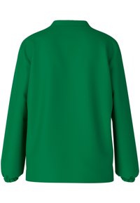 Green pullover with long sleeves, round neck, and fitted cuffs. Smooth texture with a solid color, no patterns or visible hardware details.