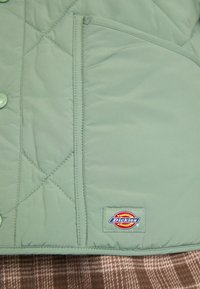 Kvārnots zaļš mētelis ar kupola pogām, kabatu uz plaukstas un Dickies logotipu. Izgatavots no gludas, vieglas auduma.