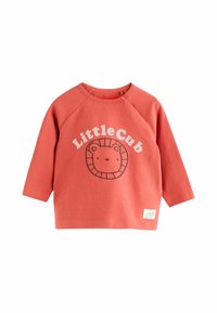 Rdzawym swetrem z długimi rękawami raglanowymi, z grafiką lwa i napisem "LittleCub" w kolorze kremowym. Miękka, bawełniana tkanina, luźny krój.