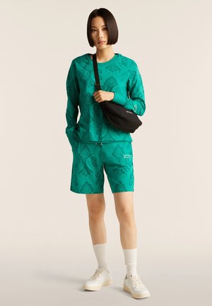 Freddy GIROCOLLO IN FANTASIA - Sudadera - allover ikat greenlake