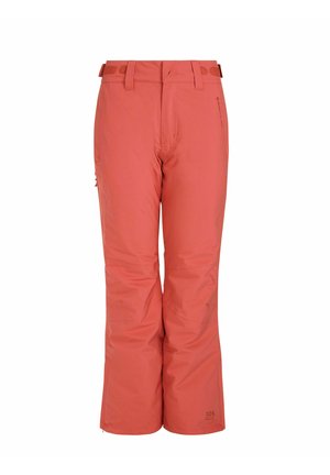 Protest CARMACKS - Pantalons de ski - rusticrust